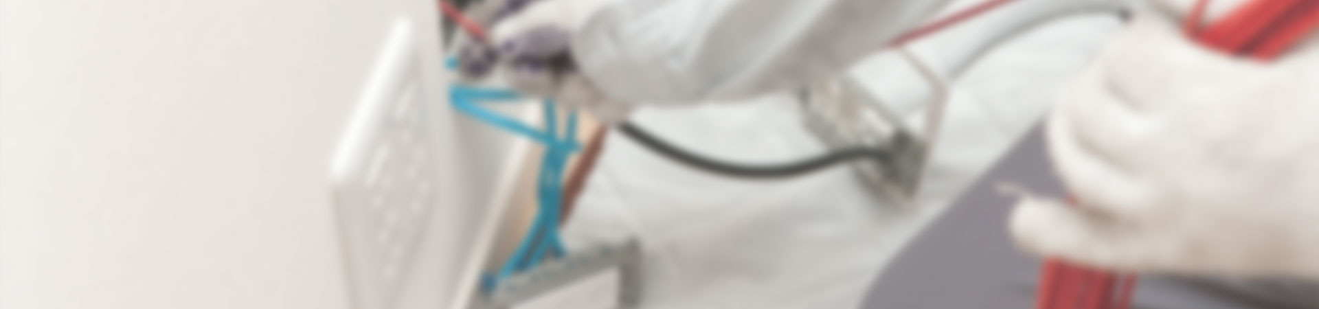 コラム